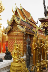 Fototapeta na wymiar Wat Phra That Doi Suthep