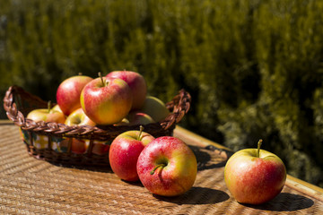 Autumn harvest concept. Red apples on a straw wicker table and in a basket