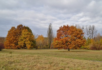 Beautiful autumn landscape - great autumn trees - autumn alley
