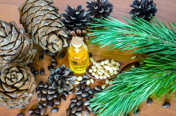 Cedar pine nuts and oil