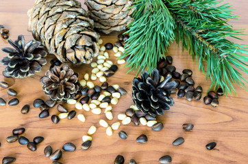 Pine branches, cones and nuts