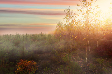Obraz na płótnie Canvas Misty and colorful autumn landscape