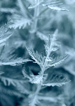 Abstract Nature Background