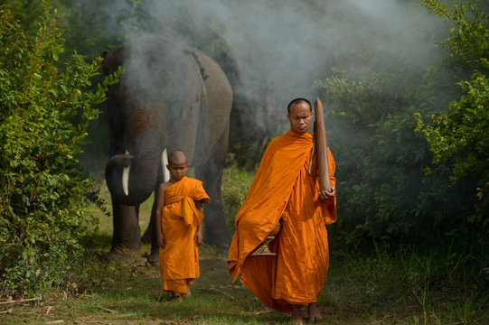 Monk and novice monk with an elephant, Surin, Thailand
