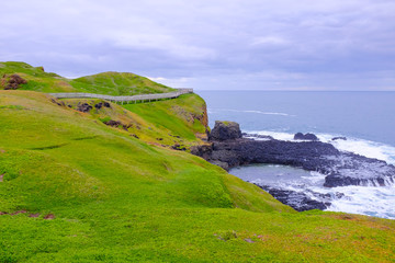 Walk way around the island at Phillip island beautiful green grass.