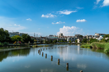Fototapeta premium 東京大田区 小池公園３