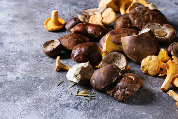 Heap of fresh forest porcini boletus and chanterelles mushrooms over gray texture background. Top view with space.