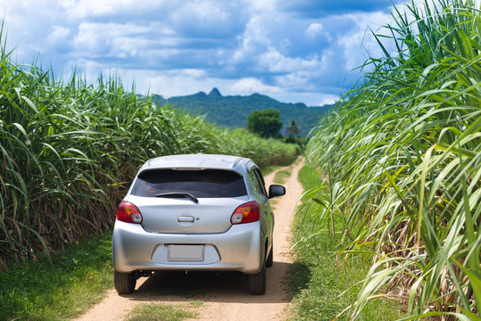 Travel car is running into countryside jungle tropical forest.