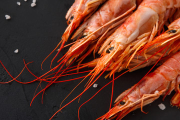 Fresh big red shrimps background