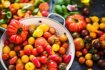 Vibrant variety of many fresh tomatoes