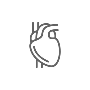 Simple heart line icon. Symbol and sign vector illustration design. Editable Stroke. Isolated on white background