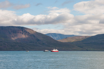 Whale Watching boats in Eyjafjordur Iceland