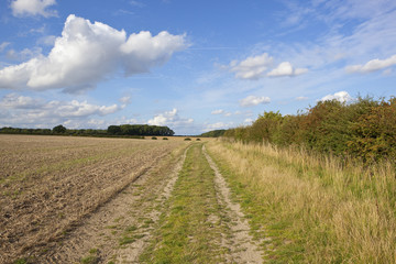 farm track at harvest time