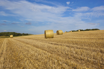 golden straw bales