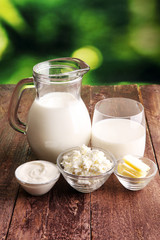 milk products. tasty healthy dairy products on a table