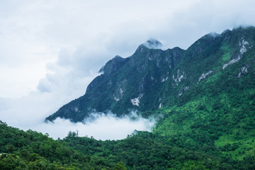 The fog over green mountain at sunset in north of Thailand