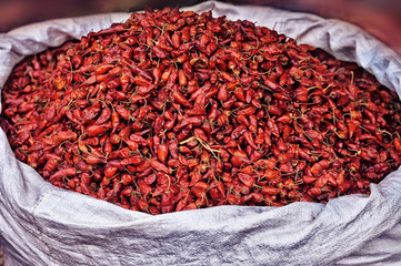 Fototapeta premium dried hot pepper