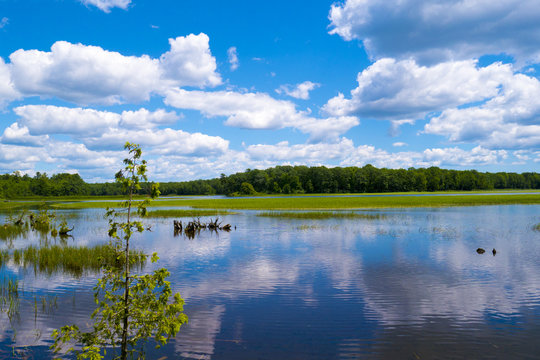 Blue Green Sky Lake