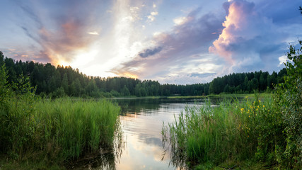 вечерний летний пейзаж с камышами на берегу реки, Россия, Урал - obrazy, fototapety, plakaty