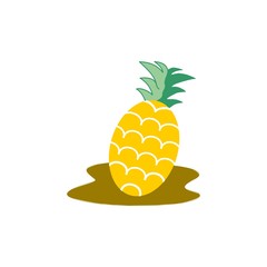 pineapple vector illustration