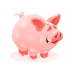 Pink piggy young cartoon animal, isolated white background.