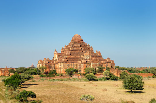 Bagan Dhammayangyi Pahto - visible from all parts of Bagan this massive walled 12th-century temple Myanmar (Burma)