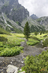 Mala studena dolina hiking trail in High Tatras, summer touristic season, wild nature, touristic trail © Iva