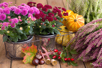 Herbstdekoration