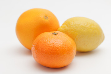 mandarina, limon y naranja sobre fondo blanco