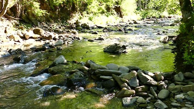 Sunny mountain  river with  stones . Slow motion