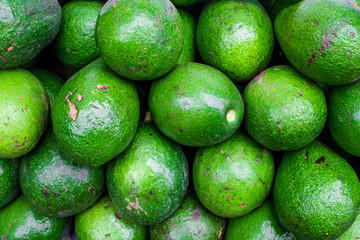 Group of fresh green avocado