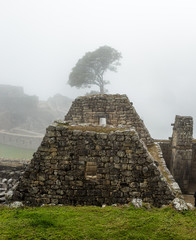 Machu Picchu - Perù - 171211504