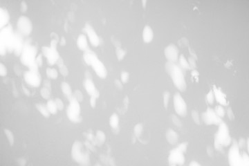 Black and White  abstract background textuer of shadows leaf on a concrete wall. - Powered by Adobe