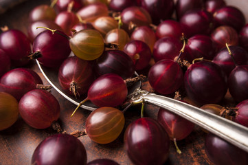 Fresh gooseberries on a clay bowl