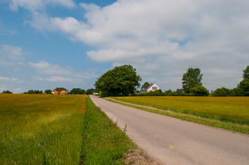 Rynkebakken road near Oerslev in the Danish countryside
