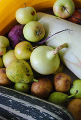 Onion, apples, zucchini, pears, potatoes, beet