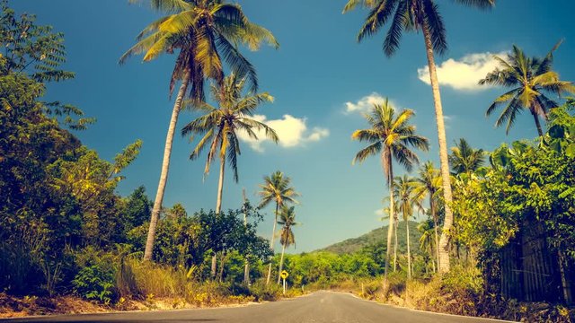 Nice asfalt road with palm trees against the blue sky and clouds. Exploring beauty world. Exotic travel background. Slow motion 4K footage