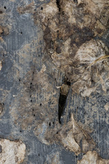 hintergrund struktur körnung