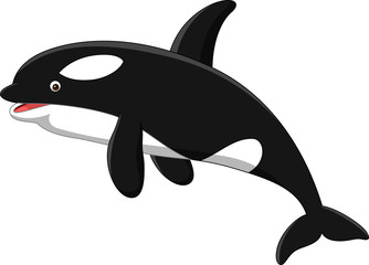Cartoon orca isolated on white background © tigatelu