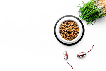 large bowl of pet - cat food with toys on white background top view mockup