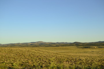 Field in Arizona