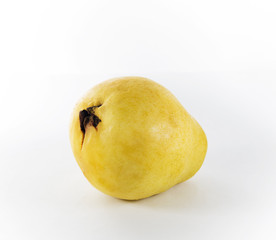One guava fruit on a white background