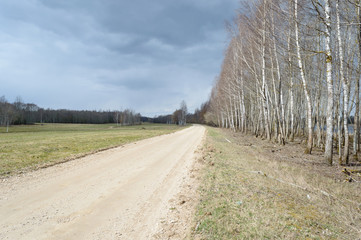 country road in forest
