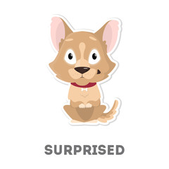 Isolated surprised dog.