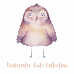 Fototapeta premium Cute watercolor owl. Hand drawn watercolor illustration with animal