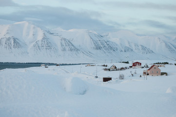 Fototapeta na wymiar winter in the Icelandic countryside