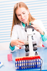 laboratory assistant examines the results of bio chemical tests