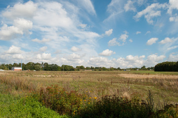 Obraz premium Nature in Naestved in Denmark