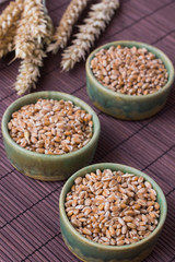 Wheat grains in green boxes on a brown background