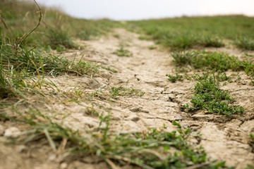 Dry cracked land. Slovakia